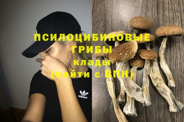 прущие крисы Гусиноозёрск