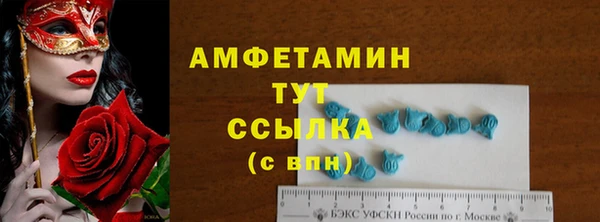 PSILOCYBIN Гусев