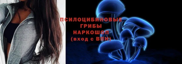 прущие крисы Гусиноозёрск