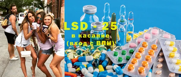 PSILOCYBIN Гусев