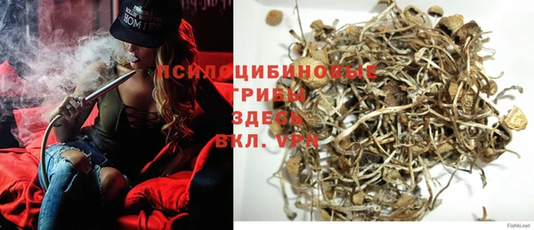прущие крисы Гусиноозёрск
