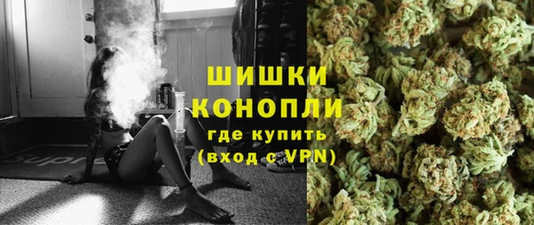 PSILOCYBIN Гусев