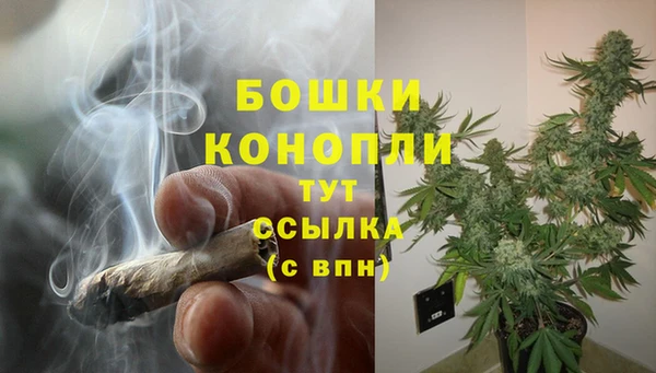 PSILOCYBIN Гусев