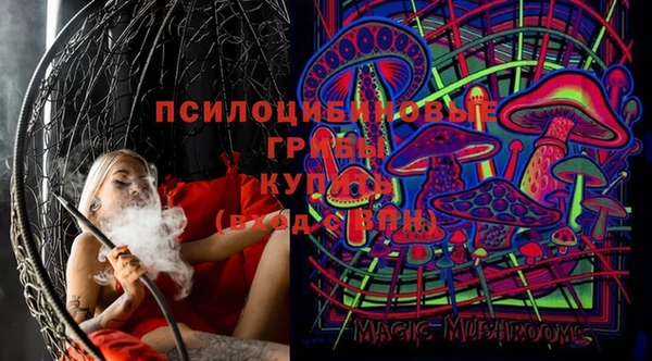 прущие крисы Гусиноозёрск