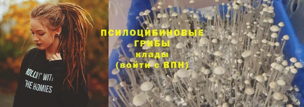 прущие крисы Гусиноозёрск